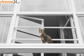 Otwock Siatka na balkon z małym oczkiem - na zabezpieczenie balkonu Sklep Otwock